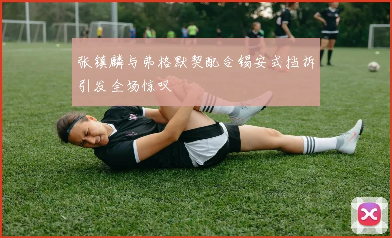 张镇麟与弗格默契配合锡安式挡拆引发全场惊叹