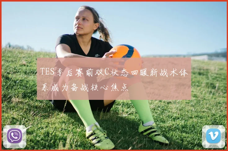 TES季后赛前双C状态回暖新战术体系成为备战核心焦点