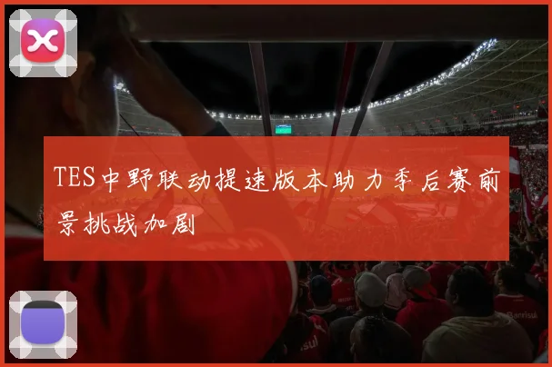TES中野联动提速版本助力季后赛前景挑战加剧